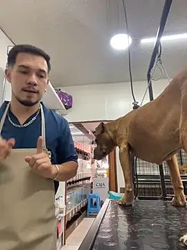 Snapshot of Leonardmoppet chatting on November 2025 07:14:02 PM Leonardmoppet online show from November 2025 07:14:02 PM