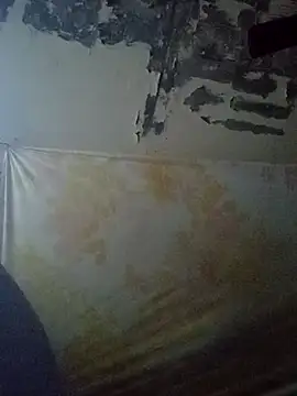 Snapshot of Cogelonregio chatting on October 2025 11:41:02 PM Cogelonregio online show from October 2025 11:41:02 PM