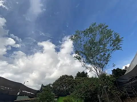 moon2 1  online show from December 2025 07:55:01 PM