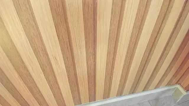 Snapshot of mia__blaze__ chatting on November 2025 03:06:02 AM mia blaze online show from November 2025 03:06:02 AM