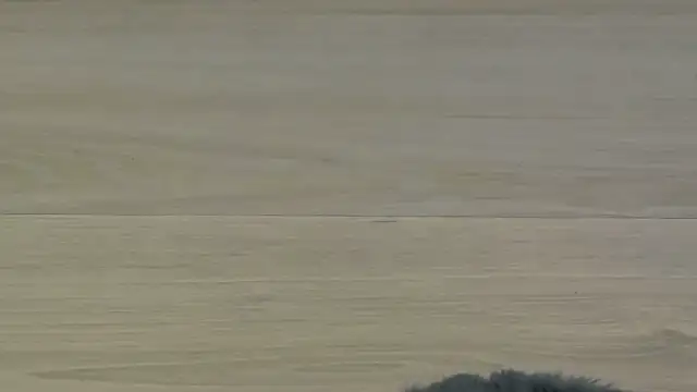 Snapshot of KimWilmes chatting on December 2025 04:40:02 AM KimWilmes online show from December 2025 04:40:02 AM