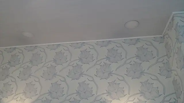 Snapshot of Rachellparker_ chatting on December 2025 11:19:01 AM Rachellparker online show from December 2025 11:19:01 AM