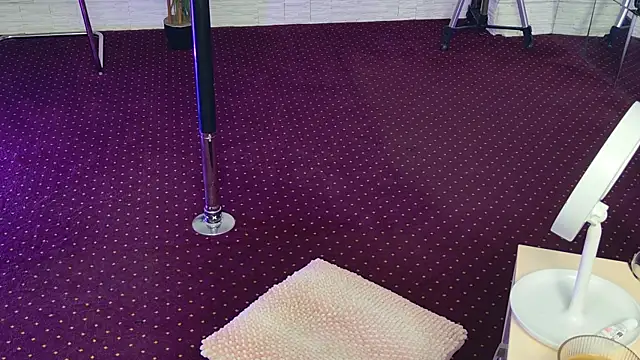 Snapshot of IvorySwan chatting on November 2025 05:52:02 AM IvorySwan online show from November 2025 05:52:02 AM