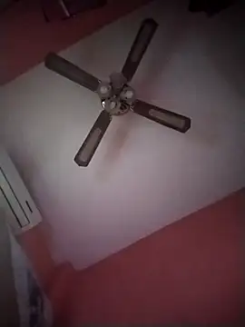 Snapshot of Danii2005 chatting on November 2025 01:34:02 PM Danii2005 online show from November 2025 01:34:02 PM