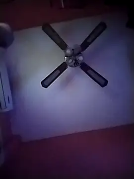 Snapshot of Danii2005 chatting on November 2025 06:52:01 PM Danii2005 online show from November 2025 06:52:01 PM