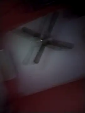 Snapshot of Danii2005 chatting on November 2025 08:09:01 PM Danii2005 online show from November 2025 08:09:01 PM