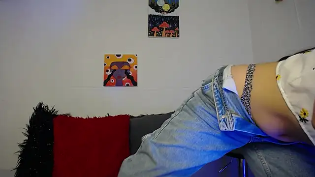 Snapshot of _IR1S_ chatting on November 2025 08:22:02 PM IR1S online show from November 2025 08:22:02 PM