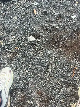 Rico1 1 online show from November 2025 08:41:01 AM