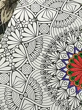 Snapshot of bigtelugubhama chatting on November 2025 04:25:01 PM bigtelugubhama online show from November 2025 04:25:01 PM