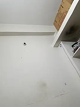 Snapshot of bigtelugubhama chatting on December 2025 11:53:01 PM bigtelugubhama online show from December 2025 11:53:01 PM