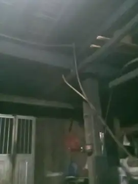 Snapshot of matbiec- chatting on November 2025 10:32:02 PM matbiec- online show from November 2025 10:32:02 PM