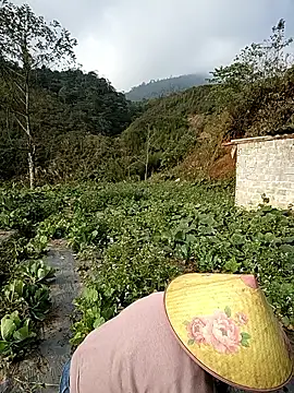 min nyny online show from December 2025 01:22:02 AM