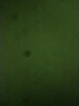 Snapshot of sexychd chatting on December 2025 04:51:02 AM sexychd online show from December 2025 04:51:02 AM