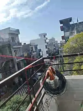 Snapshot of sexychd chatting on December 2025 04:39:02 AM sexychd online show from December 2025 04:39:02 AM