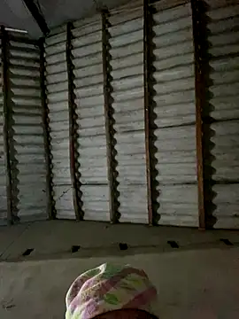 Snapshot of Lilik2 chatting on December 2025 09:29:02 AM Lilik2 online show from December 2025 09:29:02 AM