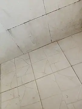 BoyMuslimTelugu online show from December 2025 05:24:02 AM