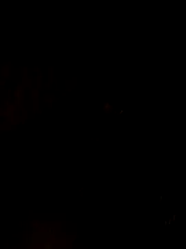 Snapshot of nehakapoor89 chatting on December 2025 07:40:02 PM nehakapoor89 online show from December 2025 07:40:02 PM