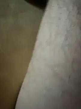 Snapshot of Lilalache chatting on December 2025 01:27:01 PM Lilalache online show from December 2025 01:27:01 PM