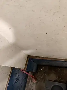 good7685 online show from December 2025 06:04:02 PM