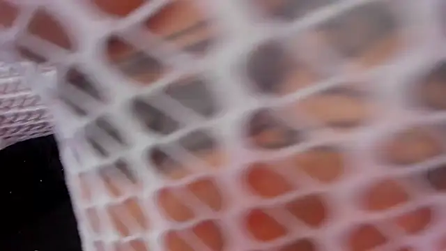 rosalia-04 online show from November 2025 06:07:02 PM