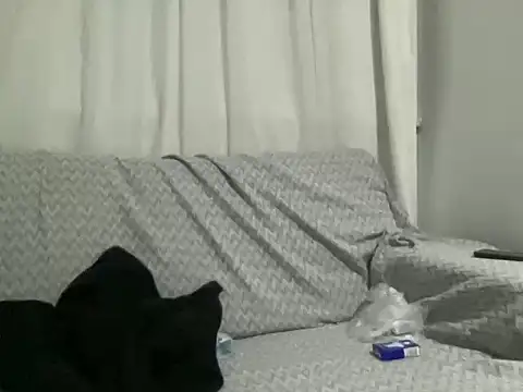 ALPHANDRE online show from February 2025 06:04:02 PM