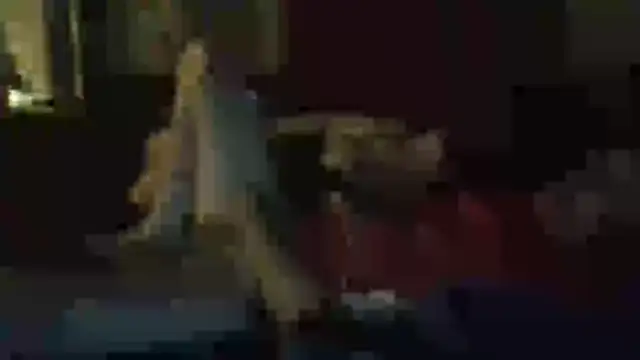 Snapshot of Wyley@xh chatting on November 2025 11:43:01 AM Wyleyxh online show from November 2025 11:43:01 AM