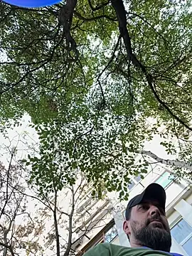 Snapshot of TigerOne19 chatting on October 2025 10:17:02 AM TigerOne19 online show from October 2025 10:17:02 AM